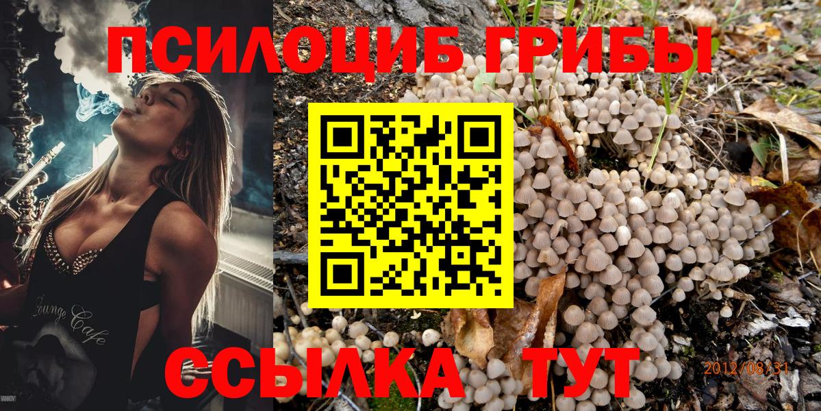 Галлюциногенные грибы Magic Shrooms  Вход с VPN  Псилоцибиновые грибы Psilocybine cubensis  Дальнегорск 